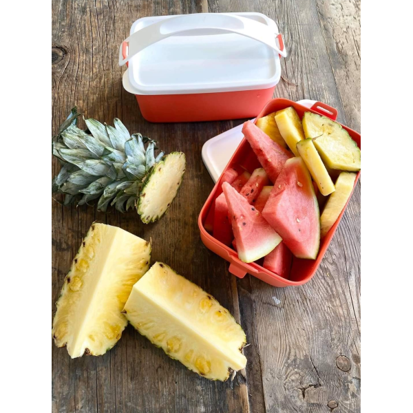 Контейнер Парад 1,5л Tupperware красный