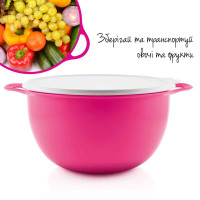 Герметичная чаша Милиан 10л Tupperware красная с белой крышкой