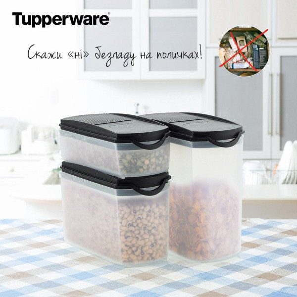 Компактус Новинка 350мл Tupperware
